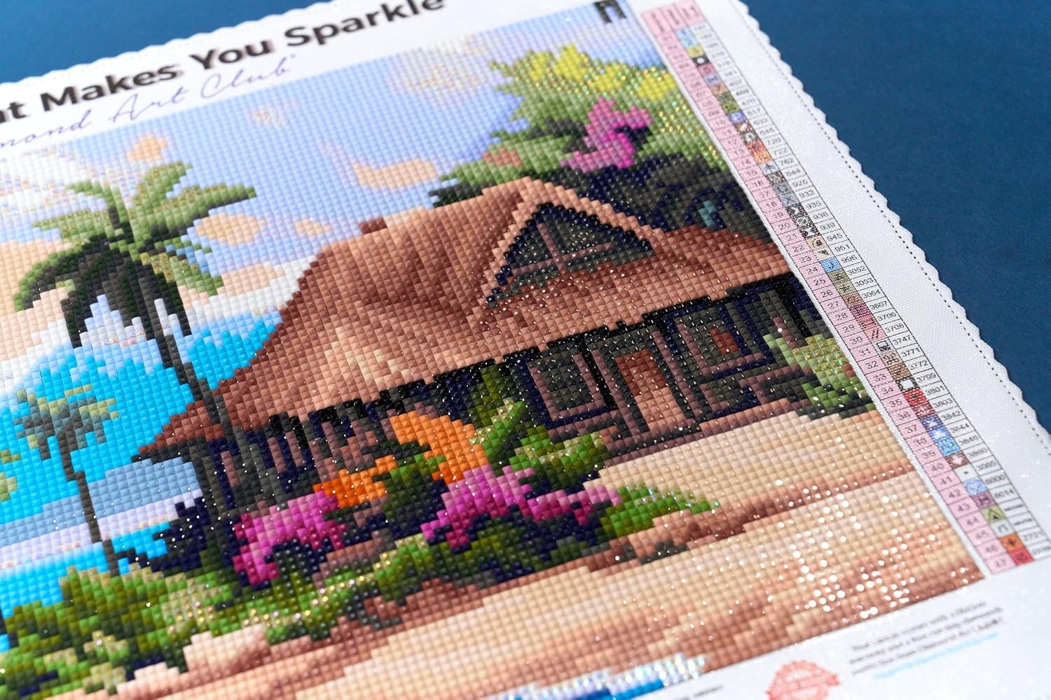 image:imageDIAMOND ART CLUB Fire Opal Succulent Diamond Art Kits for AdultsBeach Bungalow