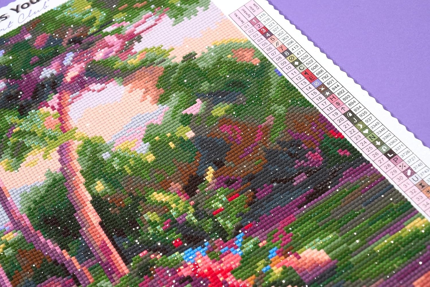 image:imageDIAMOND ART CLUB Fire Opal Succulent Diamond Art Kits for AdultsBibler Garden Path