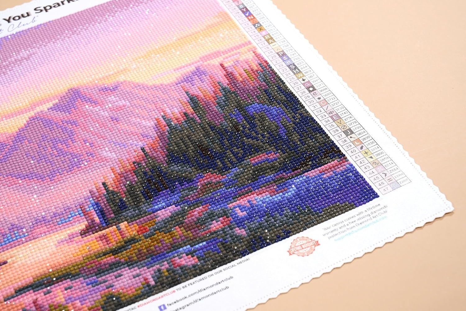 image:imageDIAMOND ART CLUB Fire Opal Succulent Diamond Art Kits for Adultspurple