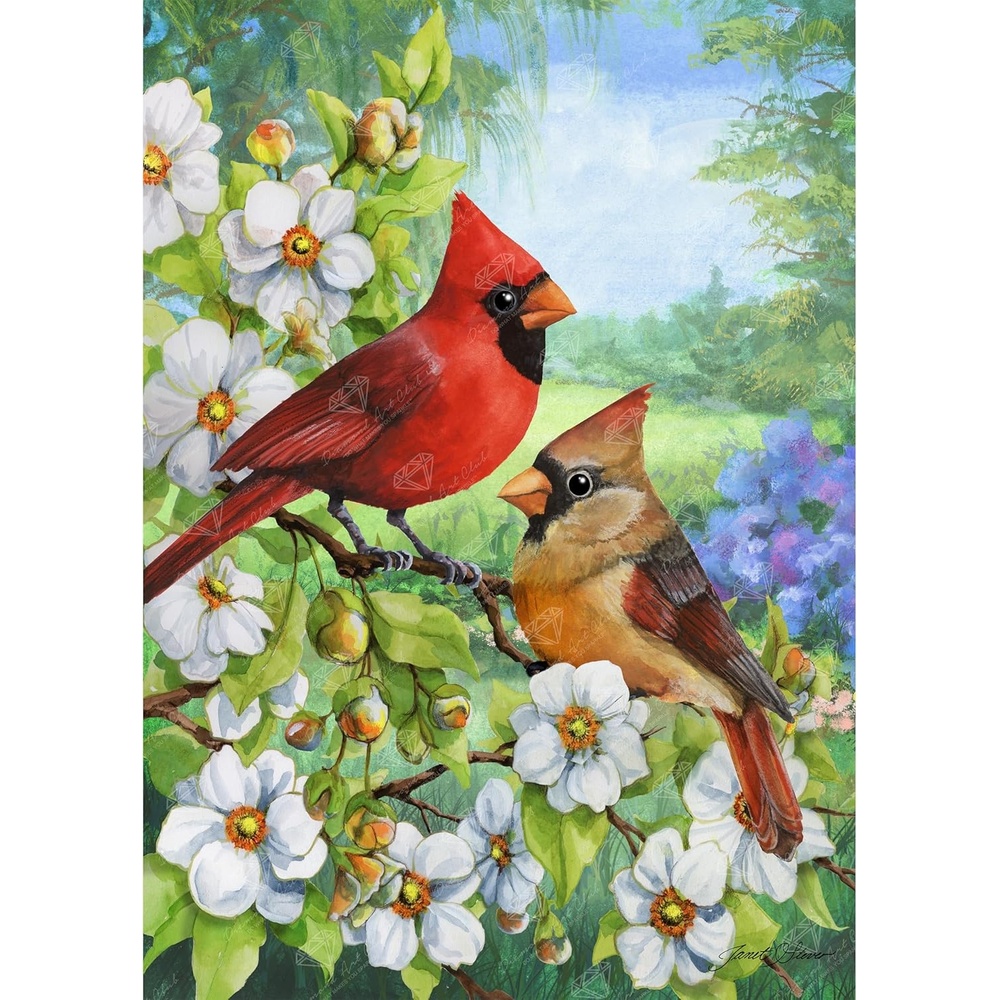 image:imageDIAMOND ART CLUB Austere Owl Diamond Art Kits for AdultsCardinal Couple