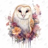 Austere - Owl