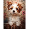 Small Wonder - Terrier