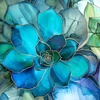 Shimmering Succulents