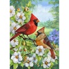 Cardinal Couple