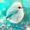 Good Morning - Bird
