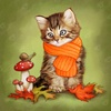 Making Friends - Kitty