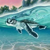 Tropical Sea Turtle